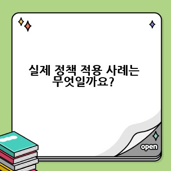 실제 정책 적용 사례는 무엇일까요?
