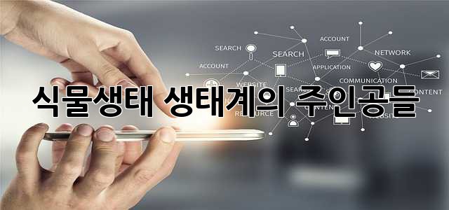 식물생태: 생태계의 주인공들