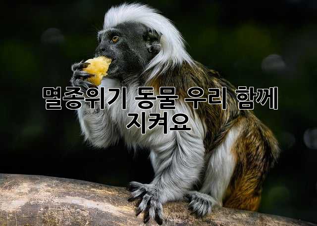 멸종위기 동물, 우리 함께 지켜요!