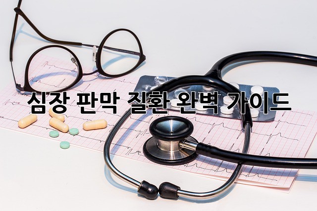심장 판막 질환 완벽 가이드