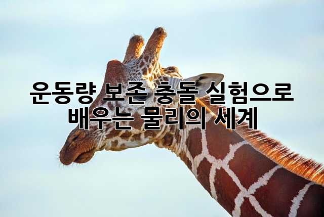 운동량 보존: 충돌 실험으로 배우는 물리의 세계