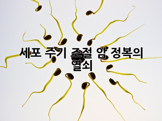 세포 주기 조절: 암 정복의 열쇠?