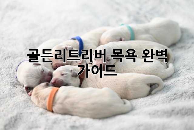 골든리트리버 목욕, 완벽 가이드!