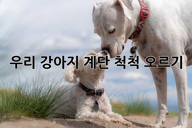 우리 강아지, 계단 척척 오르기🐶🐾