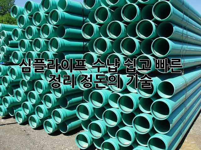 심플라이프 수납: 쉽고 빠른 정리 정돈의 기술