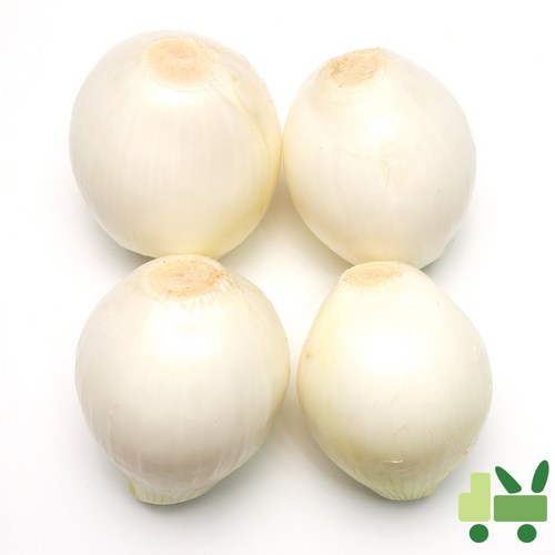 깐양파 20kg 대용량의 기적! 후회 없는 선택 꿀팁 대방출 ✨