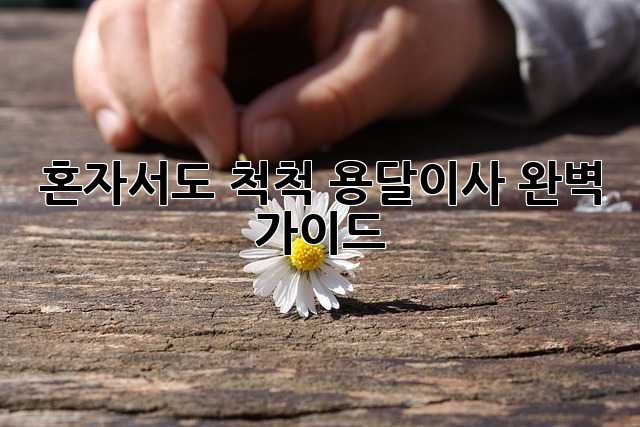 혼자서도 척척! 용달이사 완벽 가이드