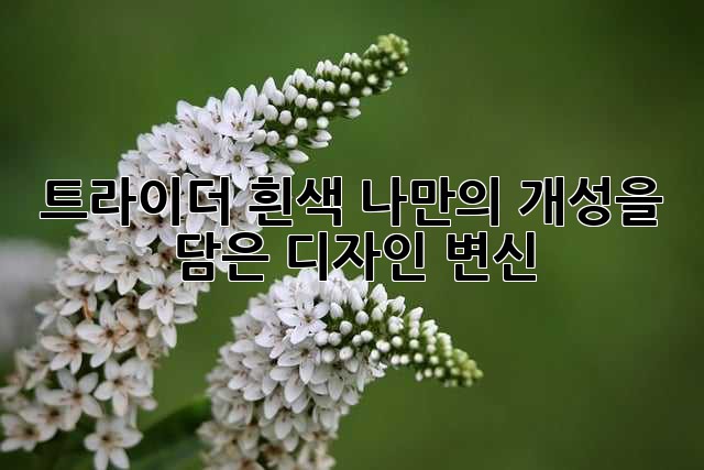 트라이더 흰색: 나만의 개성을 담은 디자인 변신!
