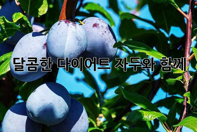 달콤한 다이어트, 자두와 함께!