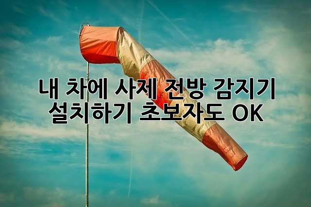내 차에 사제 전방 감지기 설치하기: 초보자도 OK!