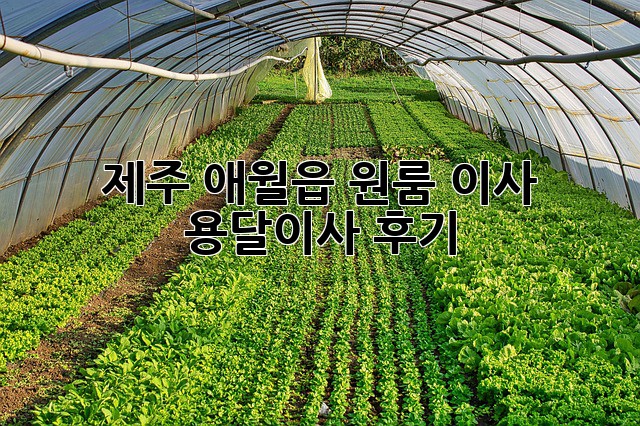 제주 애월읍 원룸 이사, 용달이사 후기!