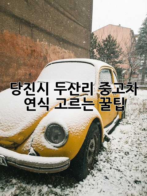 당진시 두산리 중고차: 연식 고르는 꿀팁!