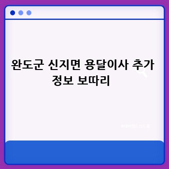 완도군 신지면 용달이사 추가 정보 보따리 