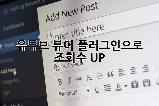 유튜브 뷰어 플러그인으로 조회수 UP!