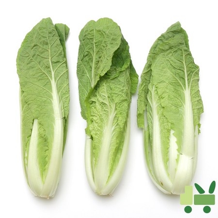 8kg 얼갈이, 이 가격 실화?! 핵꿀팁 대방출!